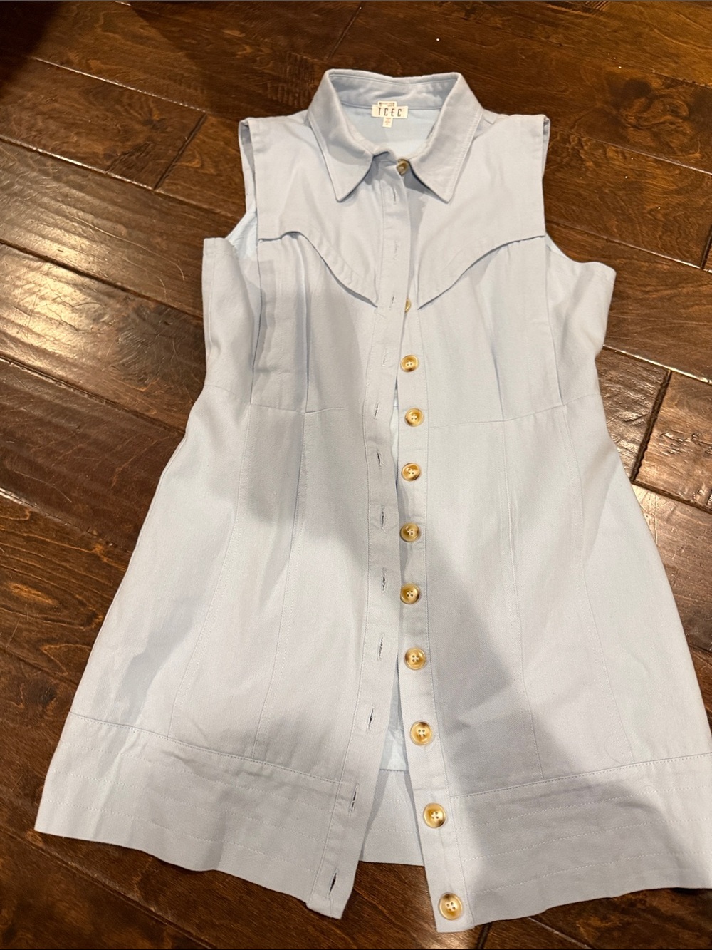 Light Blue Sleeveless Button-Front Mini Dress